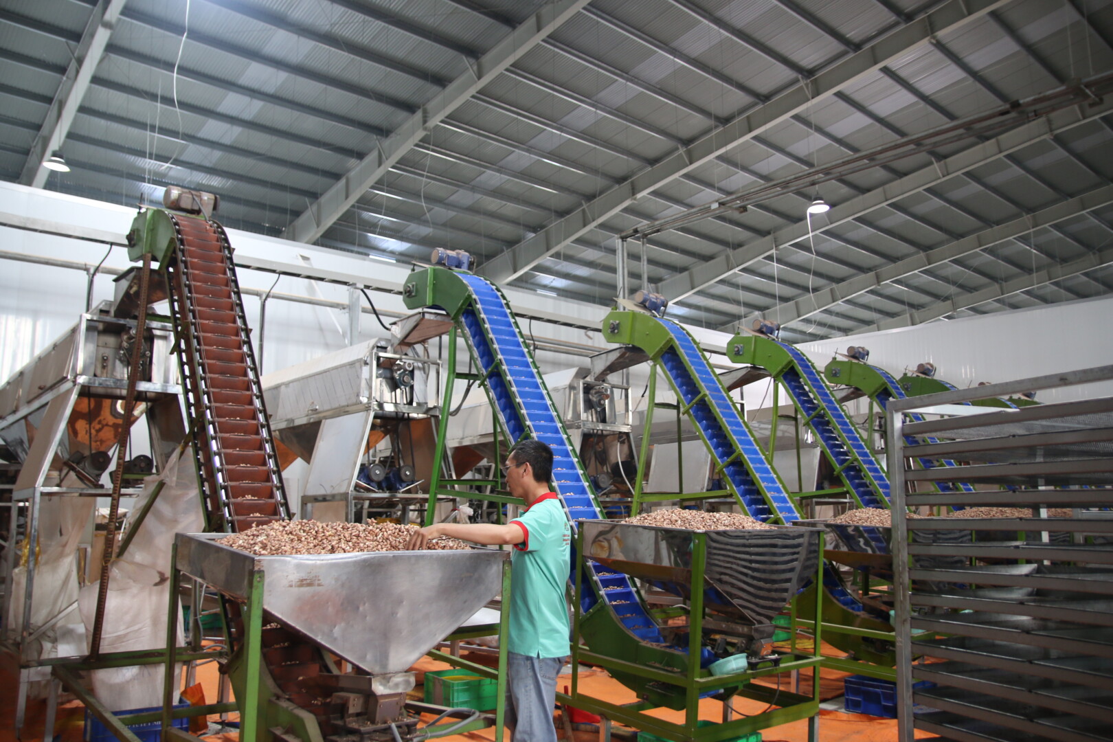 AUTOMATIC CASHEW PEELING MACHINE