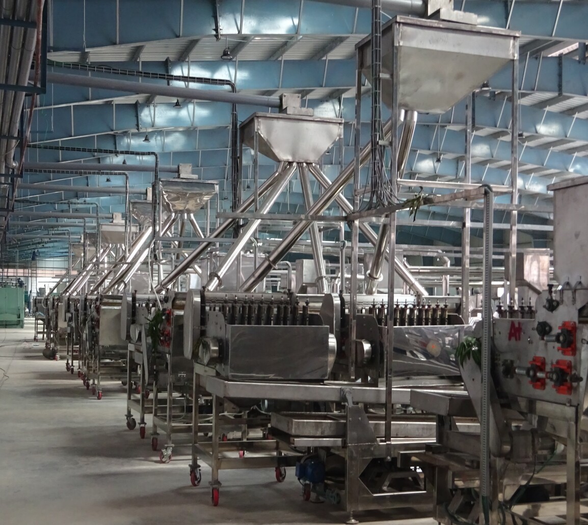 AUTOMATIC CASHEW SHELLING LINE