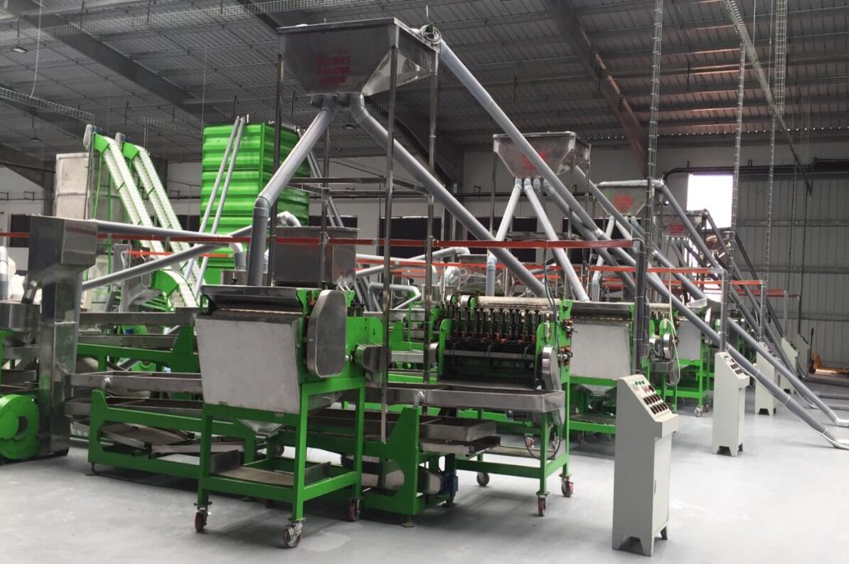 AUTOMATIC CASHEW SHELLING LINE