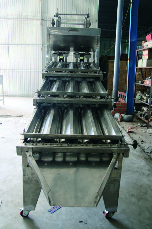 CASHEW KERNEL GRADING  MACHINE