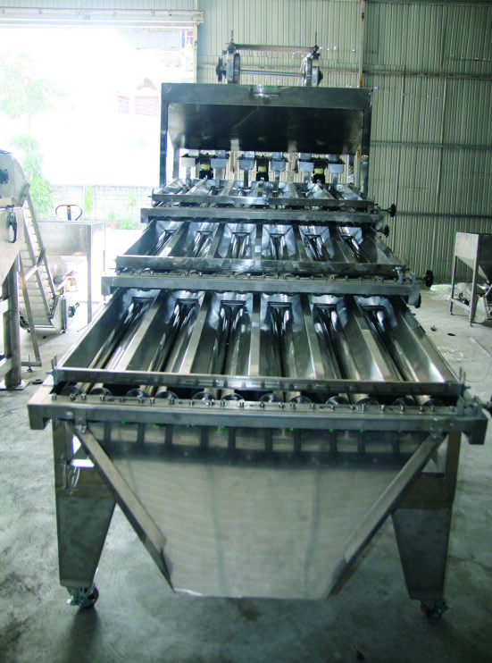 CASHEW KERNEL GRADING  MACHINE